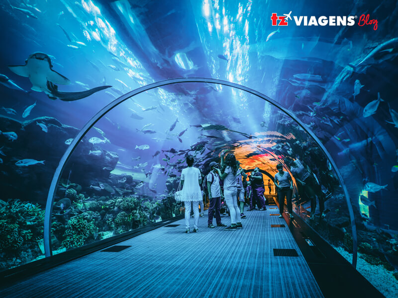 Um aquário gigantesco espera por você em Dubai, além de inúmeros lugares encantadores