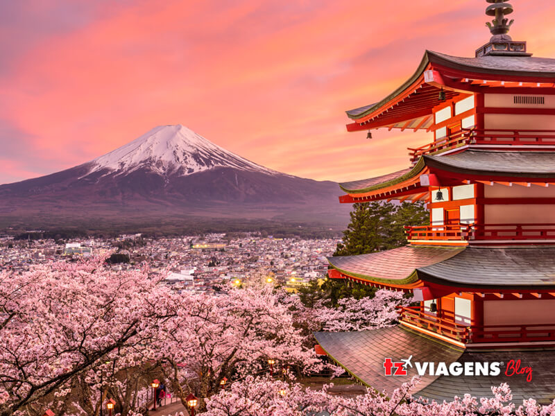 Uma viagem para o Japão para ver o desabrochar das flores de sakura