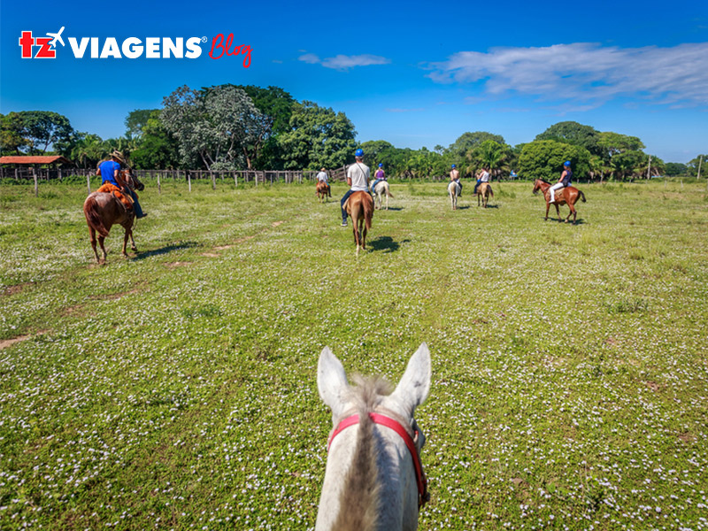 A cavalo, no Pantanal