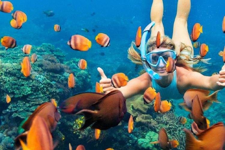 Mulher mergulhando em meio aos peixes