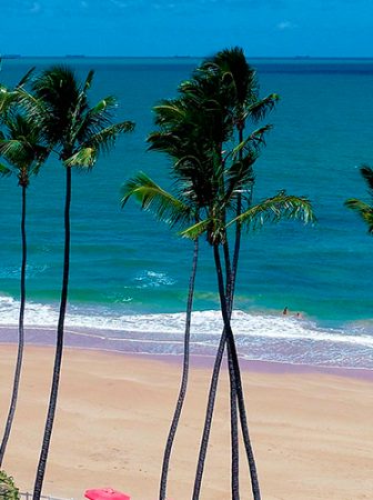 Paisagem de Porto de Galinhas, um dos melhores destinos do Nordeste