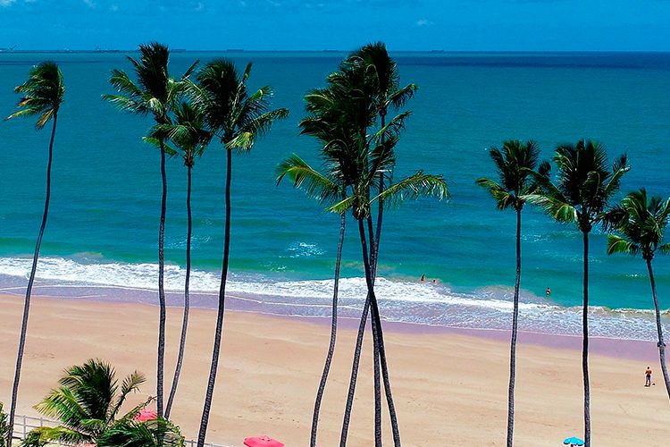 Paisagem de Porto de Galinhas, um dos melhores destinos do Nordeste